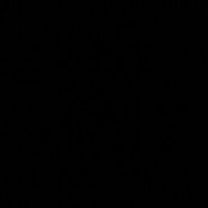 Meet your Posher, Ivory